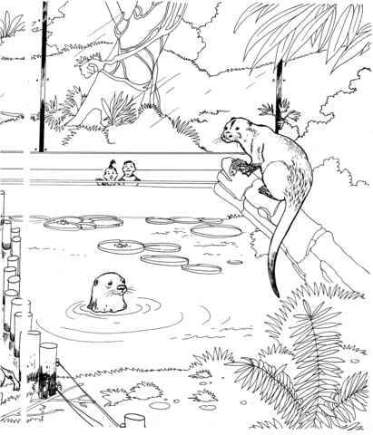 River Otter in a Zoo Free Printable Coloring Page