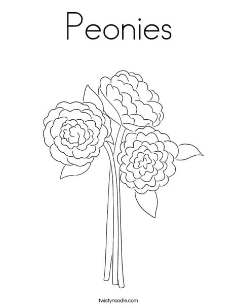 Rose Peony Flower Free Printable Coloring Page