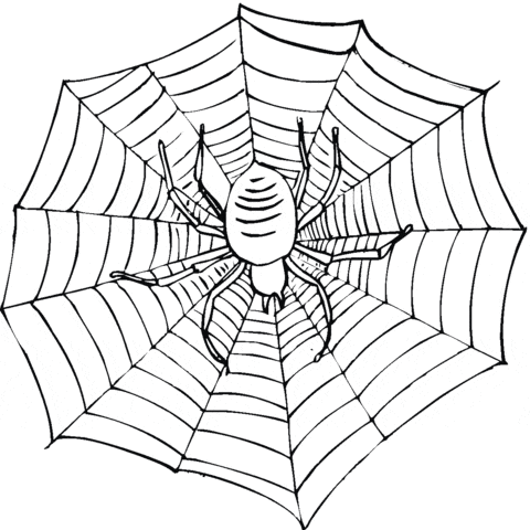 Scary Spider on a Web Free Coloring Page