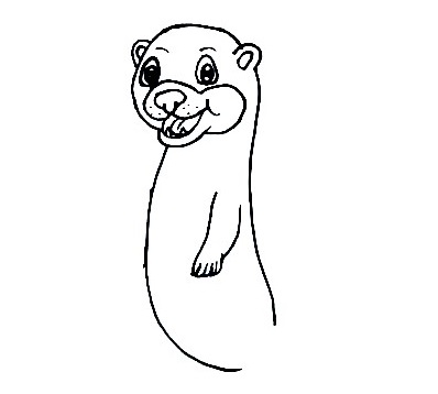 Sea-Otter-Drawing-3