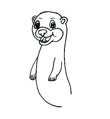 Sea-Otter-Drawing-4