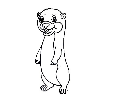 Sea-Otter-Drawing-6