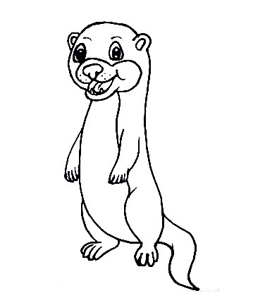 Sea-Otter-Drawing-7