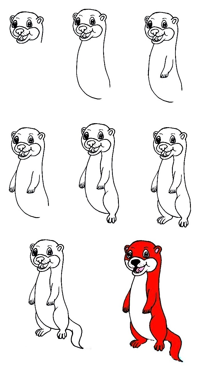 Sea-Otter-Drawing