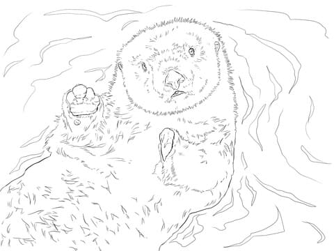 Sea Otter Portrait Free Printable Coloring Page