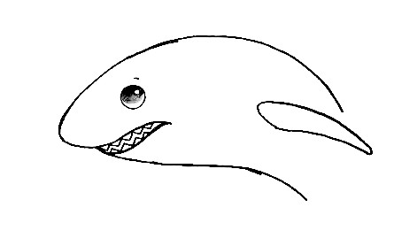 Shark-Drawing-2