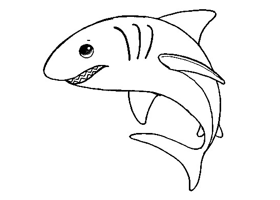 Shark-Drawing-6
