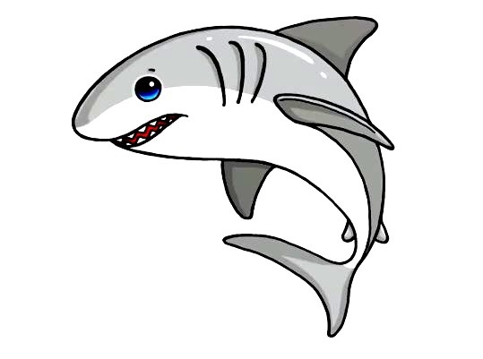 Shark-Drawing-7