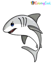 7 Simple Steps To Create A Cute Shark Drawing – How To Draw A Shark