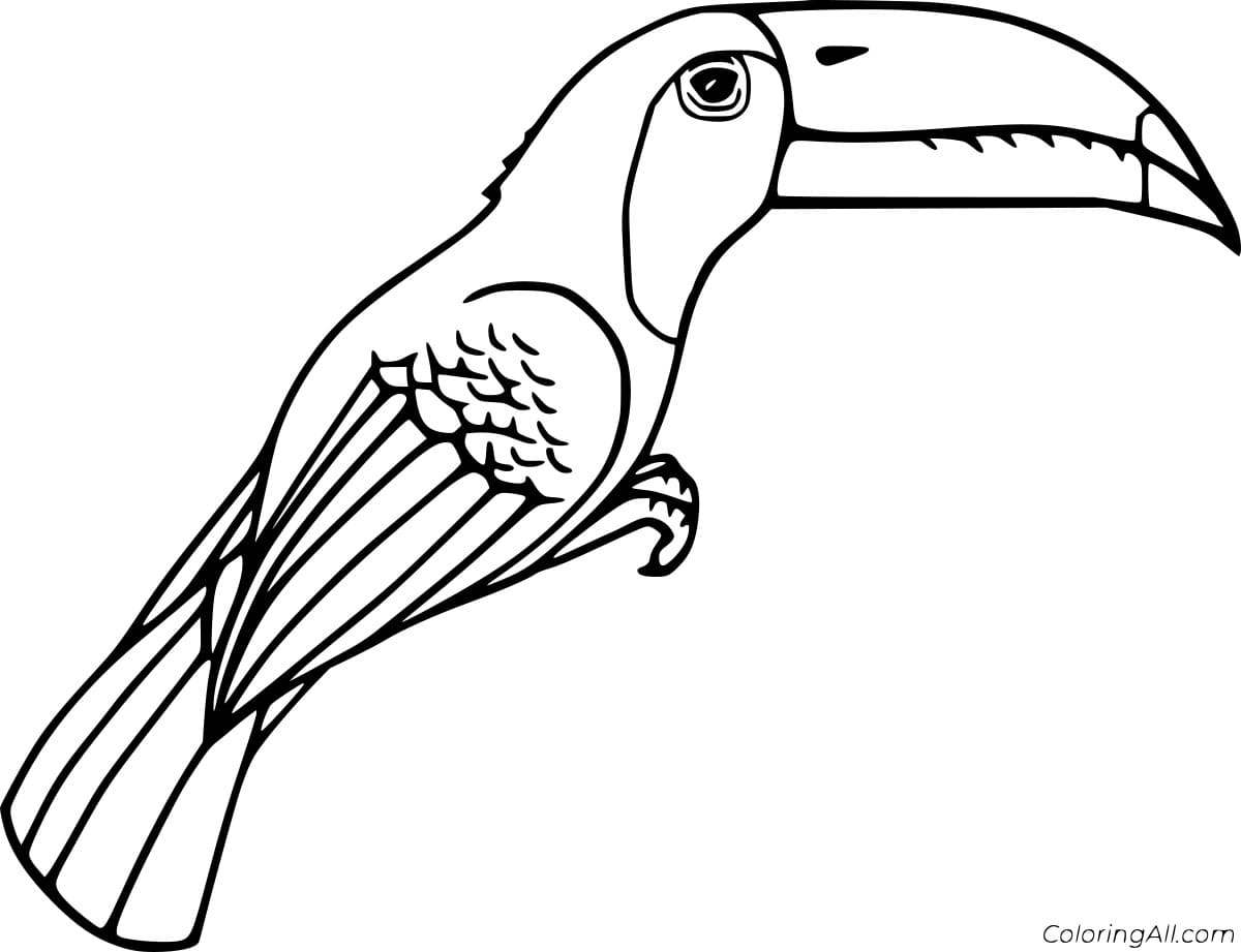 Simple Beautiful Toucan To Print Coloring Page