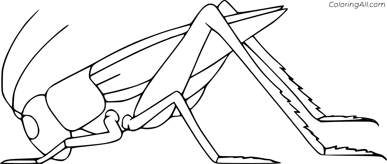 Simple Easy Grasshopper Coloring Page