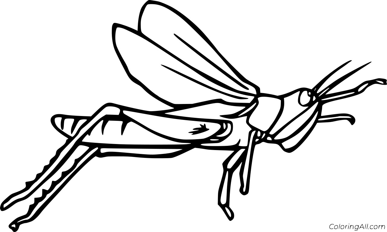 Simple Grasshopper Jumping Coloring Page