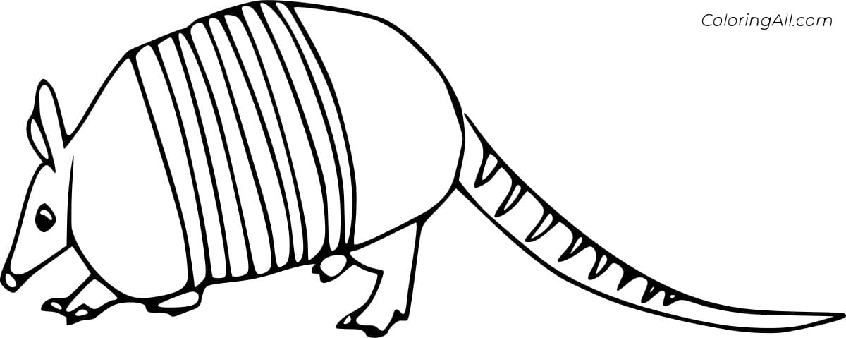 Simple Nine banded Armadillo Image Coloring Page