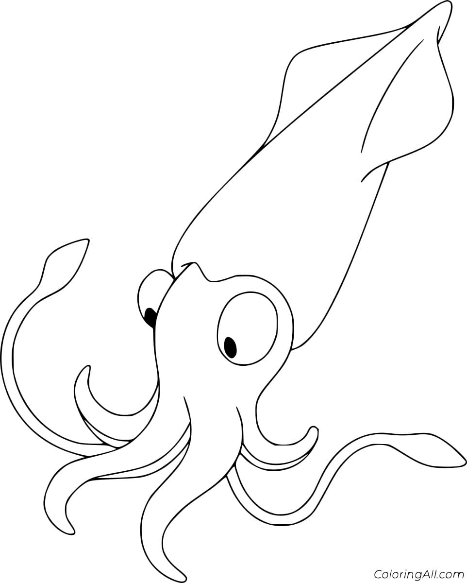 Simple Squid Image Free Printable