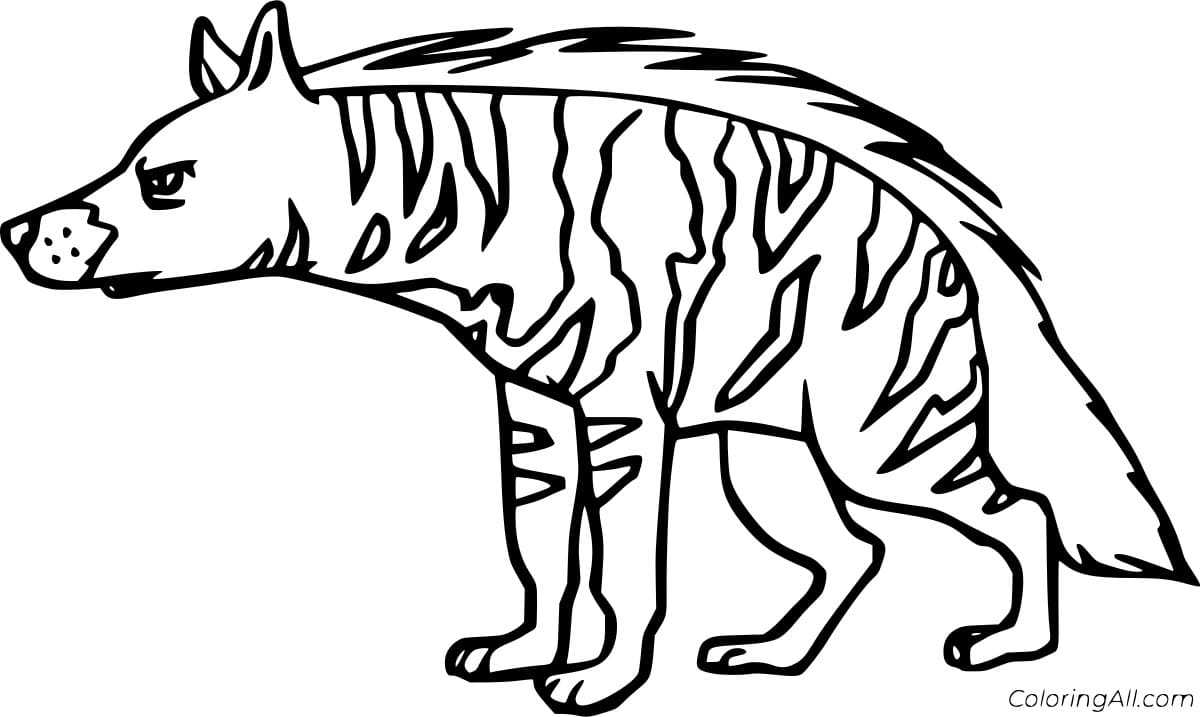 Simple Striped Hyena Free Coloring Page