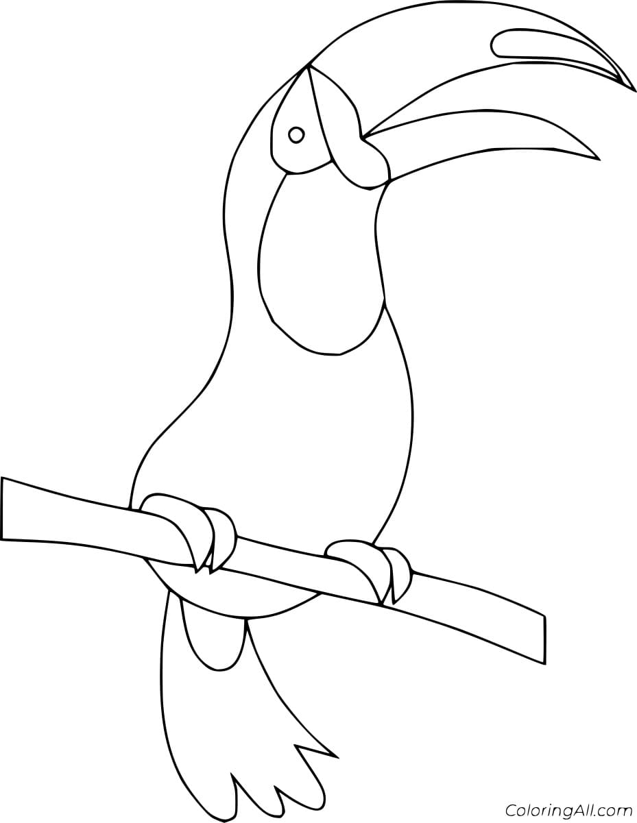 Simple Toucan Coloring Image Coloring Page