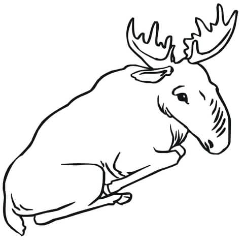 Sitting Moose Free Coloring Page