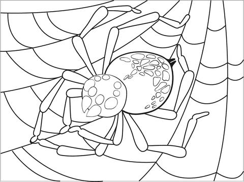 Spider Clip Art Free Printable