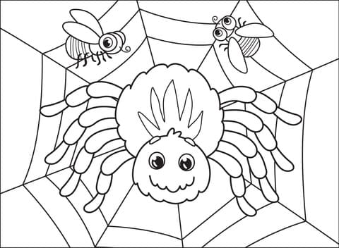 Spider Free Picture Printable Coloring Page