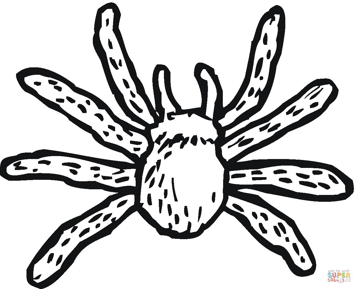 Spider Free Printable Picture Coloring Page
