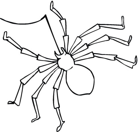 Spider Image Cute Coloring Page