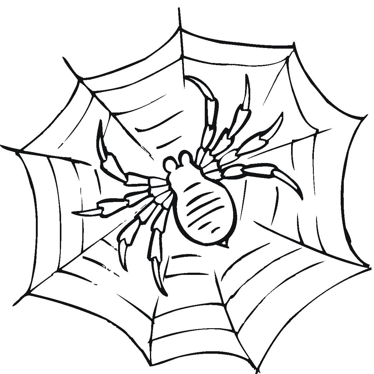 Spider To Print