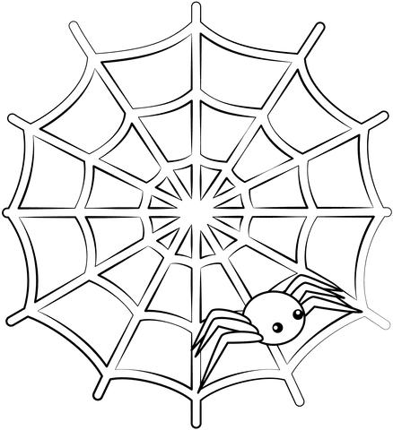 Spider Web Sweet Free