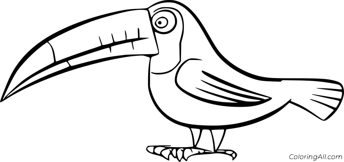 Spot Billed Toucanet Free Printable Coloring Page