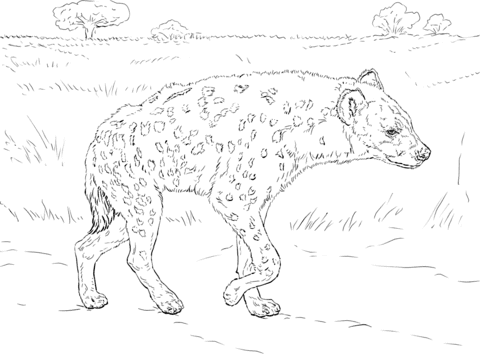 Spotted Hyena Walking In The Savannah Free
