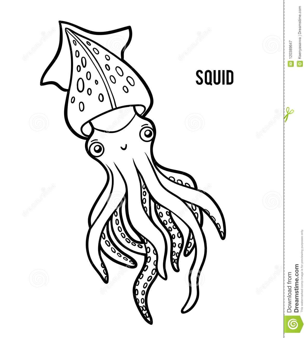 Squid Free For Children