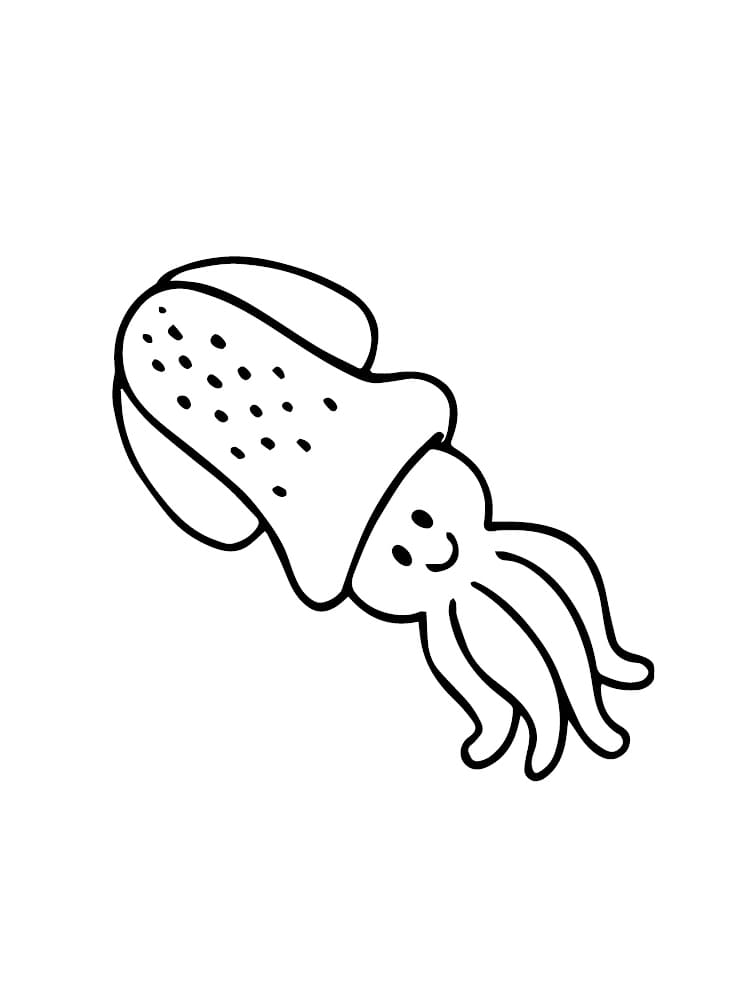 Squid Free Image For Kids