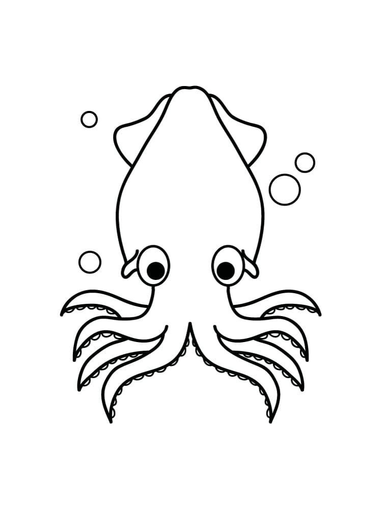 Squid Free Printable For Children
