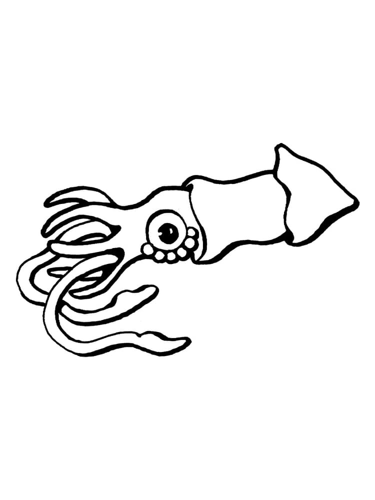 Squid Free Printable For Kids