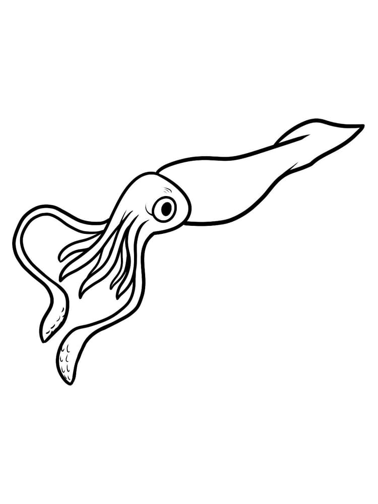 Squid Printable For Children
