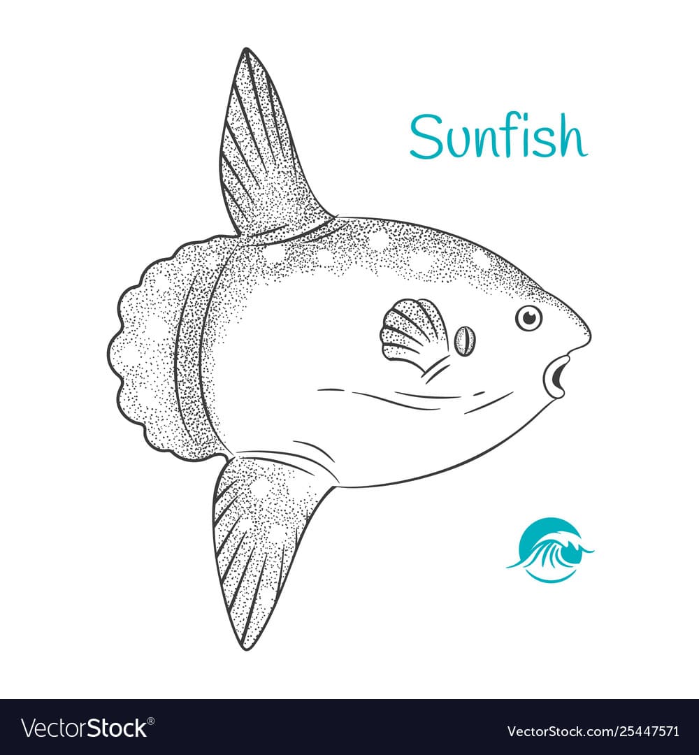 Sunfish To Print Free