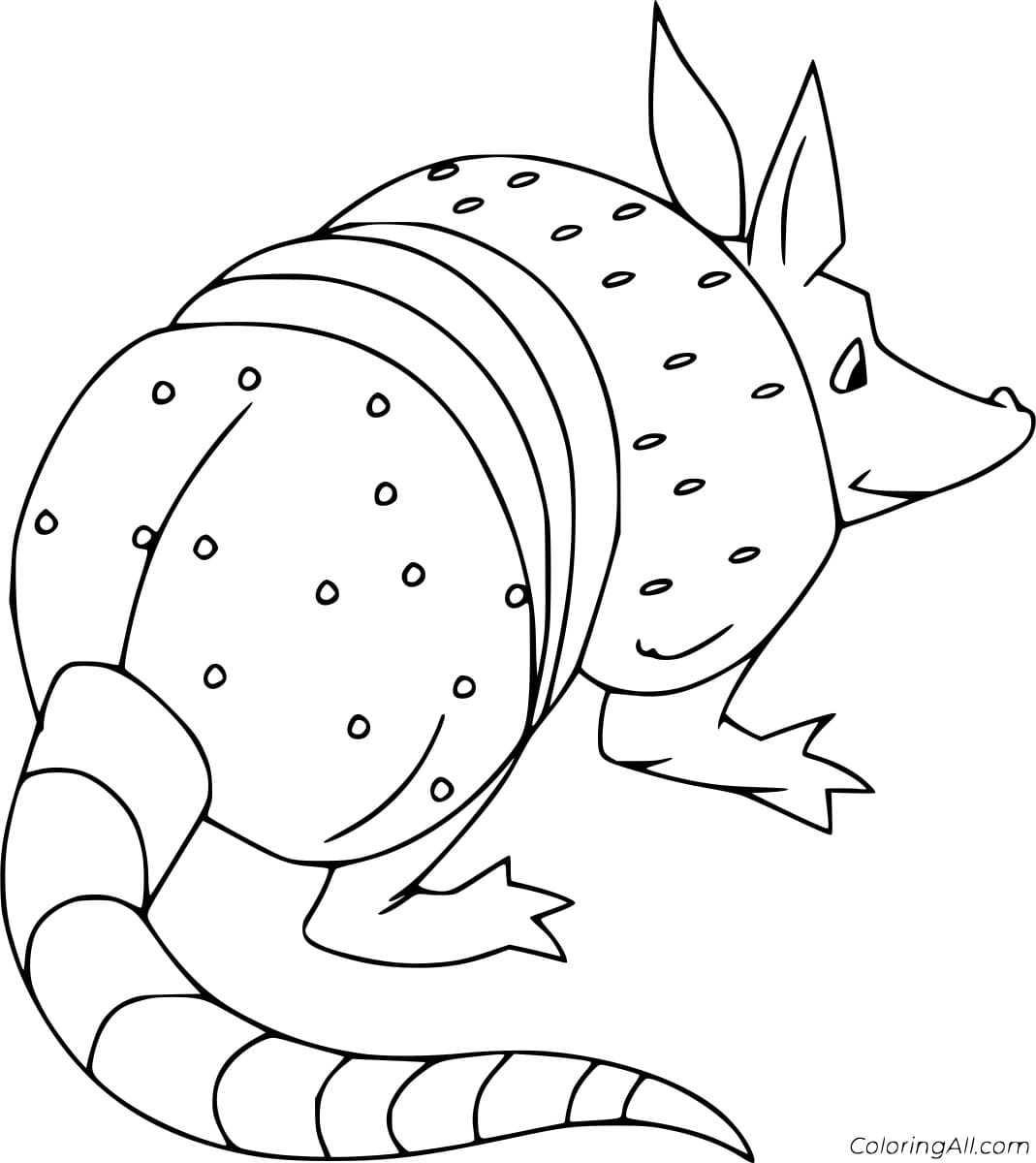 The Back of an Armadillo Coloring Coloring Page