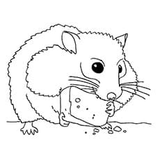 The Hamster Eating Coloring Free Printable