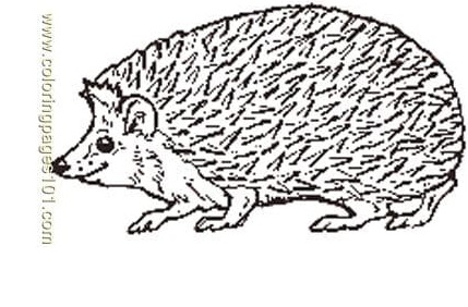 The Mitten Mural Hedgehog Free Printable Coloring Page
