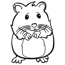 The Nervous Hamster Coloring