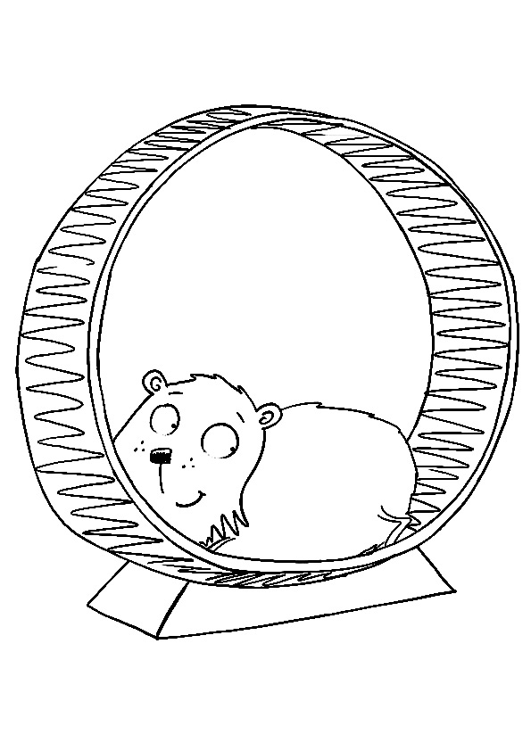 The Hamster On A Hamster Wheel