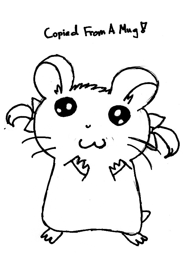 The Hand Drawn Hamster