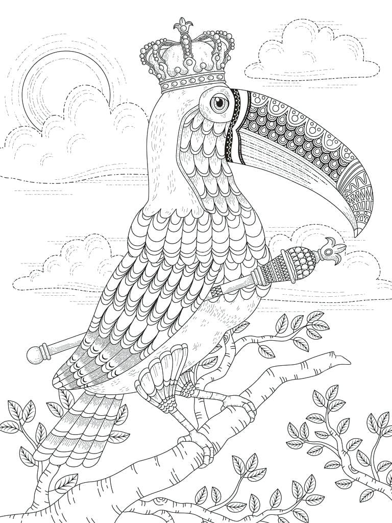 Toucan Coloring For Adults Coloring Page