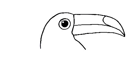 Toucan-Drawing-1