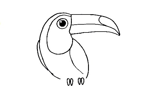 Toucan-Drawing-3