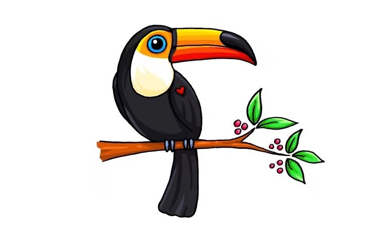 Toucan-Drawing-7