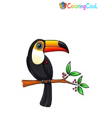 7 Simple Steps To Create A Nice Toucan Drawing – How To Draw A Toucan Coloring Page