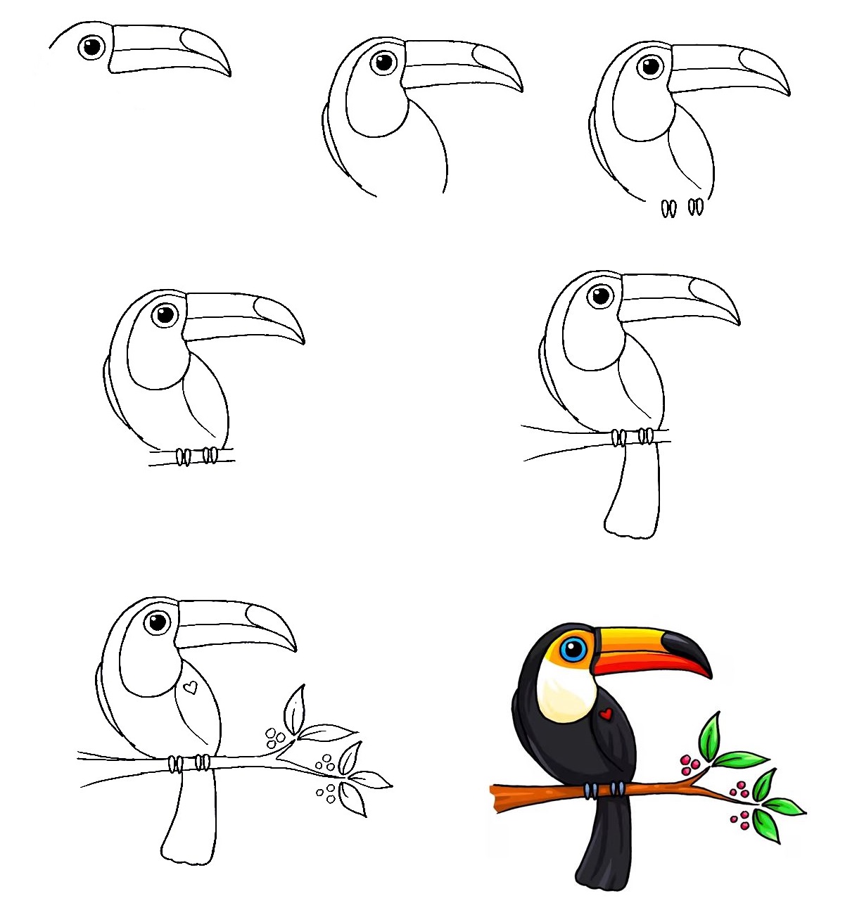 Toucan-Drawing