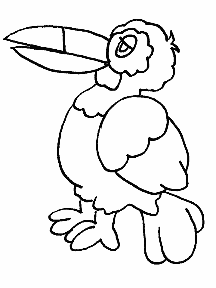 Toucan Free For Kids Coloring Page