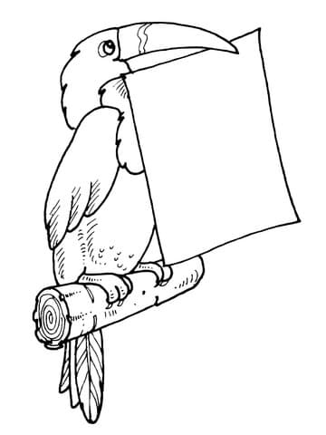 Toucan Holds a Letter in Its Bill Free Printable Coloring Page