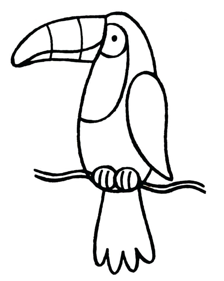 Toucan Line Art Free Printable Coloring Page
